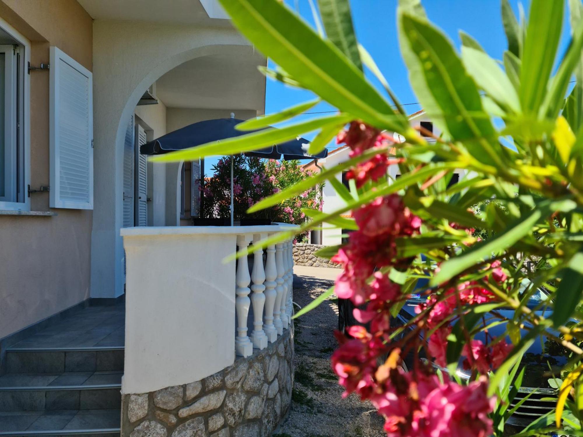 Apartments Mihalic Сило Экстерьер фото